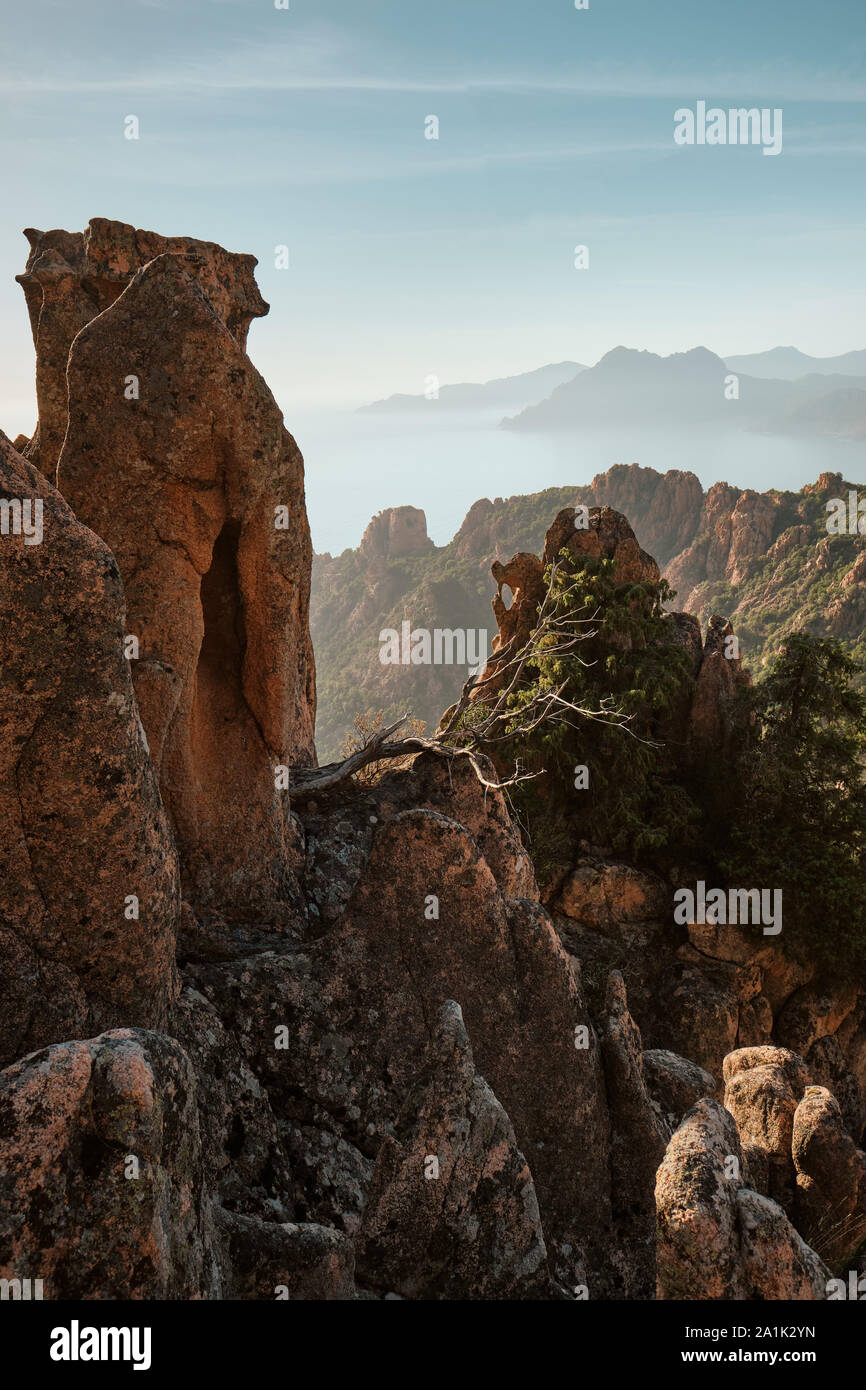 Les formations de roche de granit rouge paysage du site du patrimoine mondial de l'Unesco des Calanche de Piana / Calanques de Piana / Golfe de Porto Corse France Banque D'Images