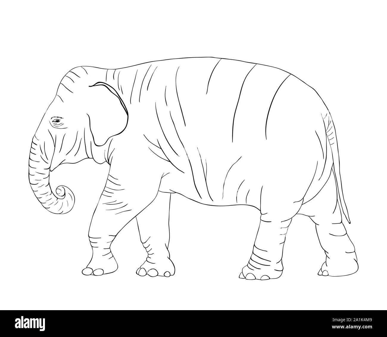 Pour l'éléphant Coloring Book isolated on white background vector Illustration de Vecteur
