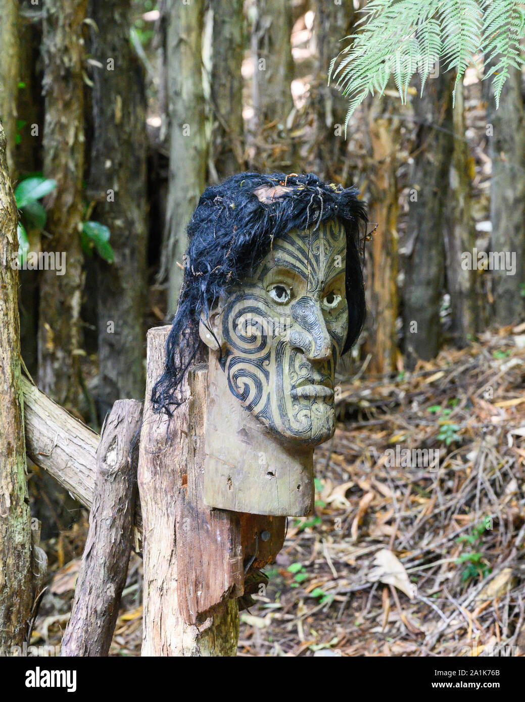 Tête maorie sculpté avec des tatouages traditionnels au Mitai Maori Village, Rotrua, Nouvelle-Zélande. Banque D'Images