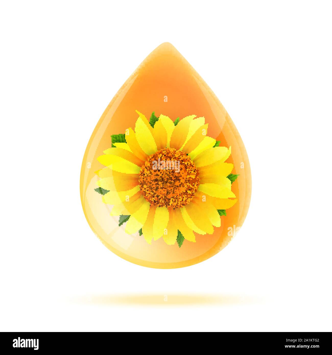 Goutte d'huile de tournesol isolé sur fond blanc vector Illustration de Vecteur