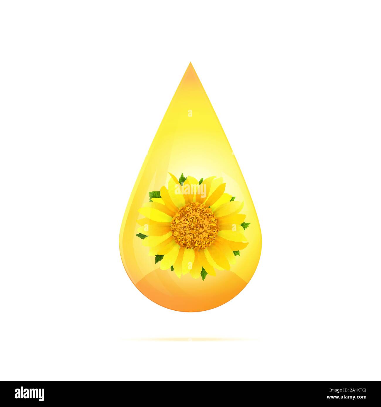 Goutte d'huile de tournesol isolé sur fond blanc vector Illustration de Vecteur