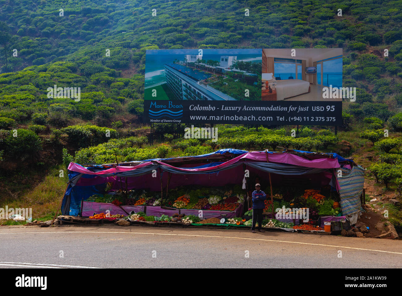 Sri Lanka, Nuwara Eliya - le 25 janvier 2019 : Le décrochage des fruits et légumes sur le bord de la route en bordure de plantation de thé. Banque D'Images