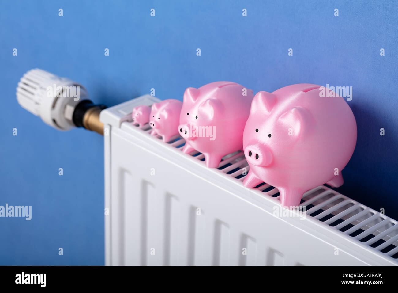 Close-up of Pink Piggy Banks conservés dans une rangée sur radiateur Banque D'Images