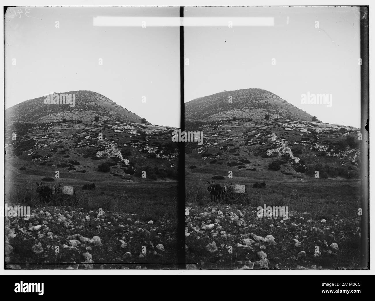 Vues du nord. Mt. Thabor à partir de l'ouest Banque D'Images