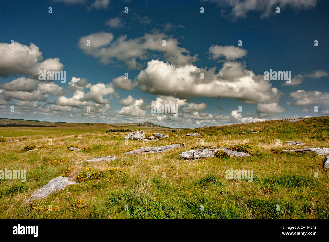 Rough tor et Brown Willy de Alex Tor, Bodmin Moor en Cornouailles Banque D'Images