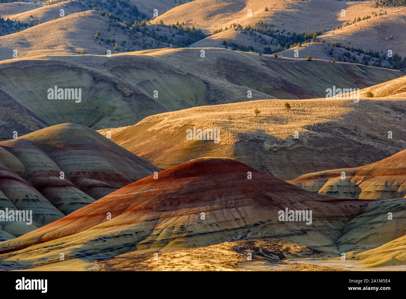 Sédiments érodés de laterite et de mudstone dans un environnement à balais, monument national John Day Fossil Beds, unité de collines peintes, Mitchell, Oregon, États-Unis Banque D'Images