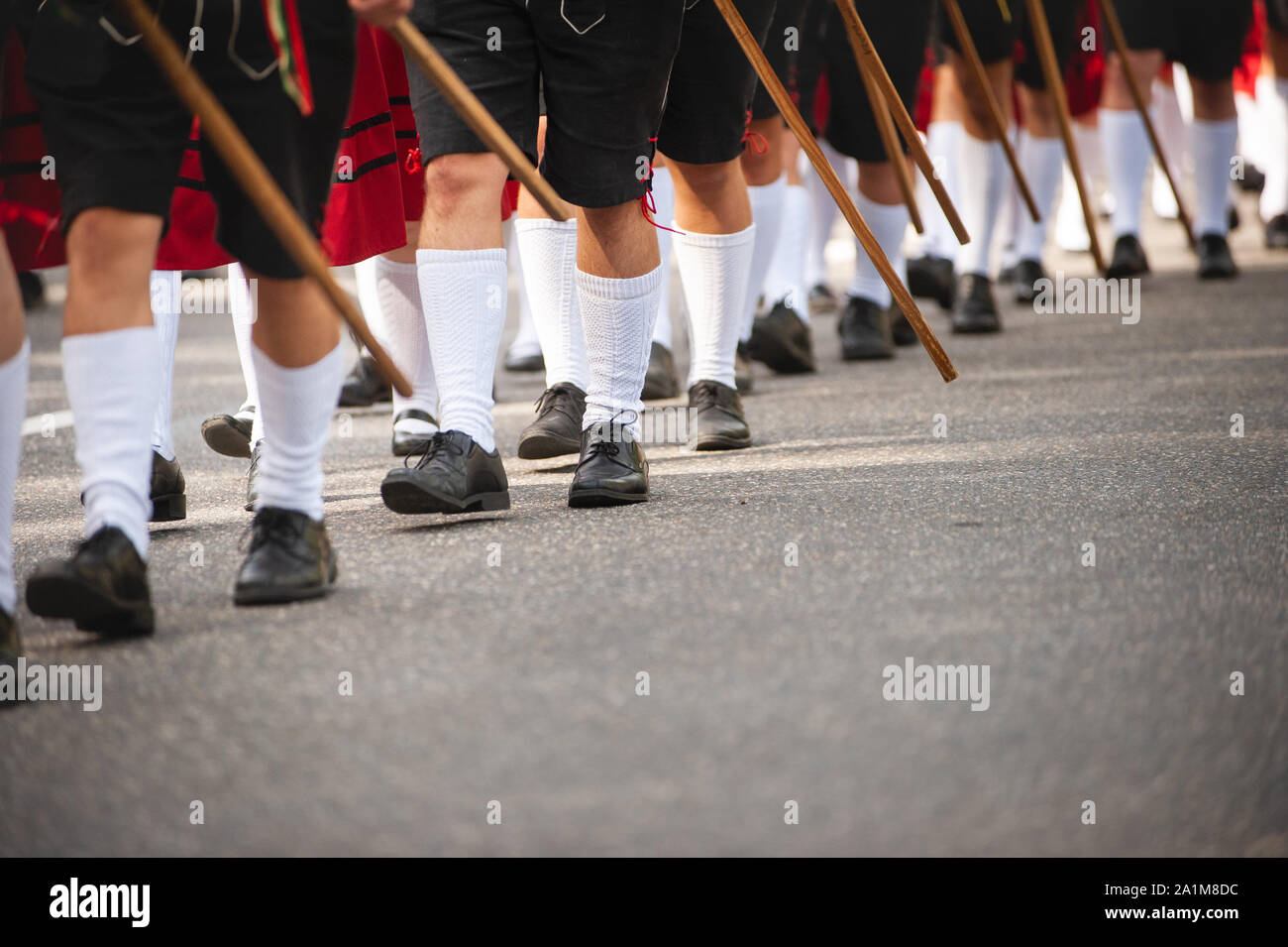 Les jambes de sexe masculin en allemand costume traditionnel. Défilé de célébration de l'automne. Banque D'Images
