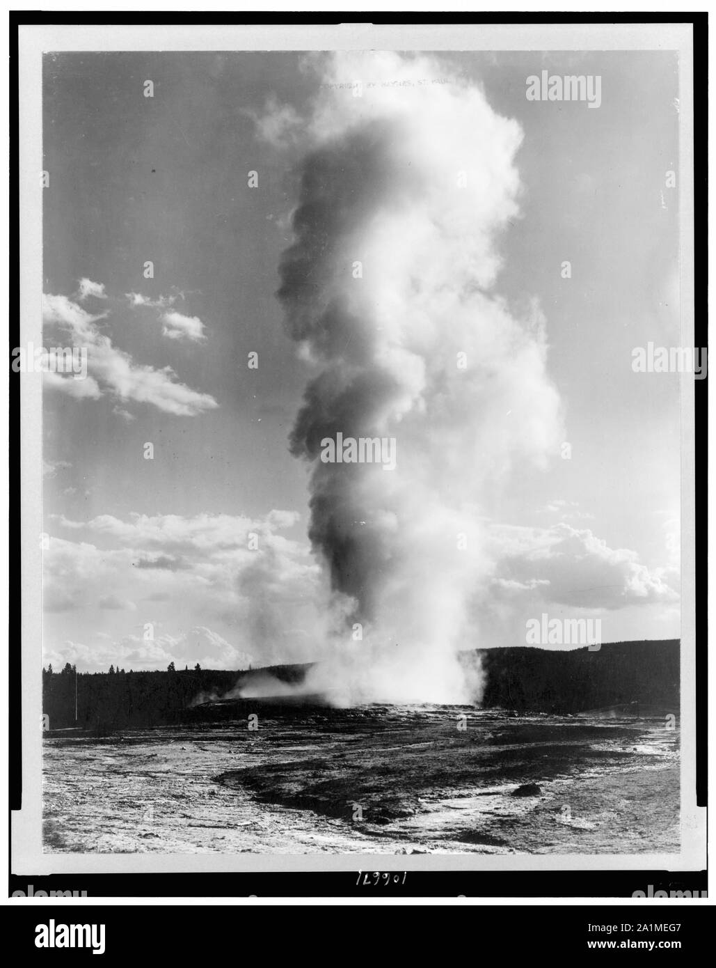 Old Faithful Geyser, le Parc National de Yellowstone, Wyoming Banque D'Images