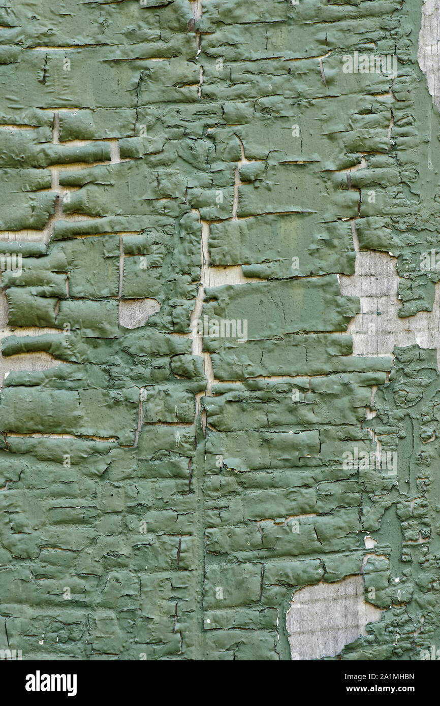 L'épluchage et vert en arrière-plan sur la peinture craquelée gris patiné bois board Banque D'Images