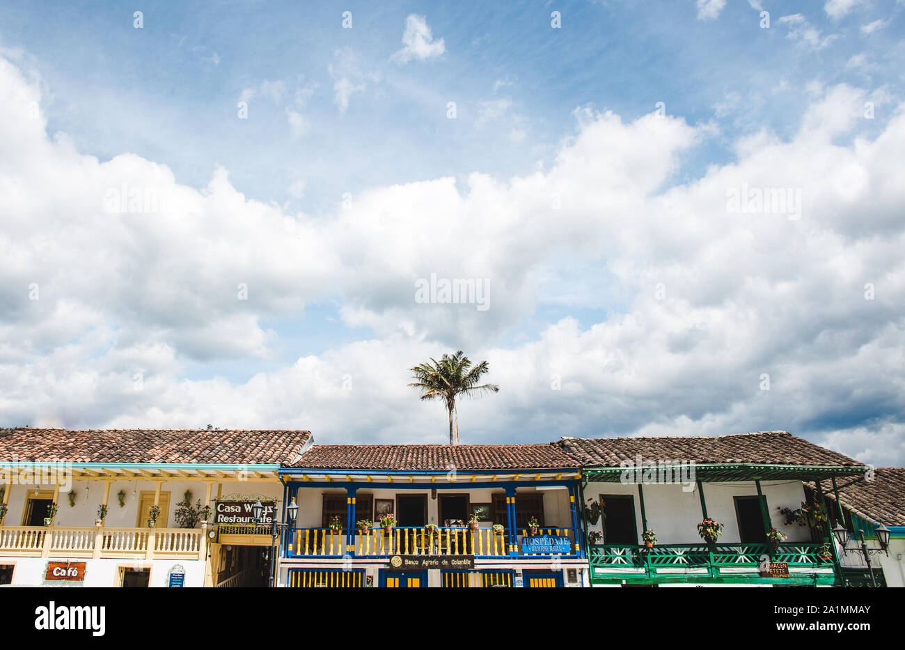 Palmier solitaire derrière rangée de maisons traditionnelles colorées sur la plaza principale de Salento, une ville typique colombienne dans la région du café Quindio, populaire Banque D'Images