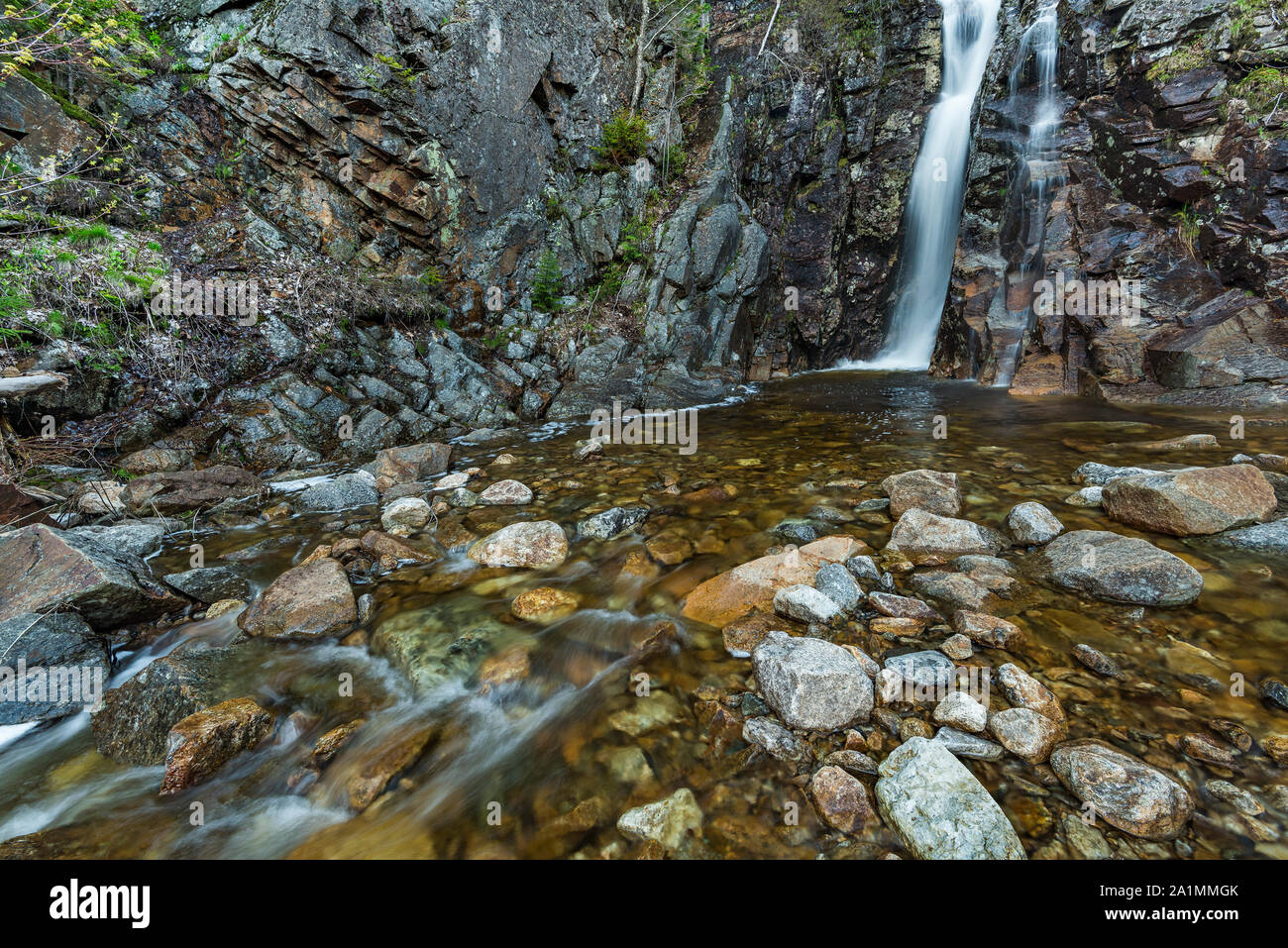 Cascade d'argent au printemps, White Mountain National Forest, Crawford Notch State Park, Carroll Co., NH Banque D'Images