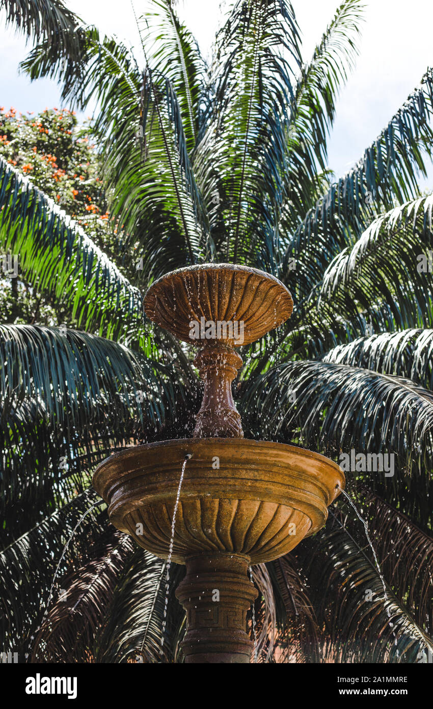 Grande fontaine en pierre avec une feuilles de palmier luxuriante dans un parc public en Colombie, en Amérique du Sud Banque D'Images