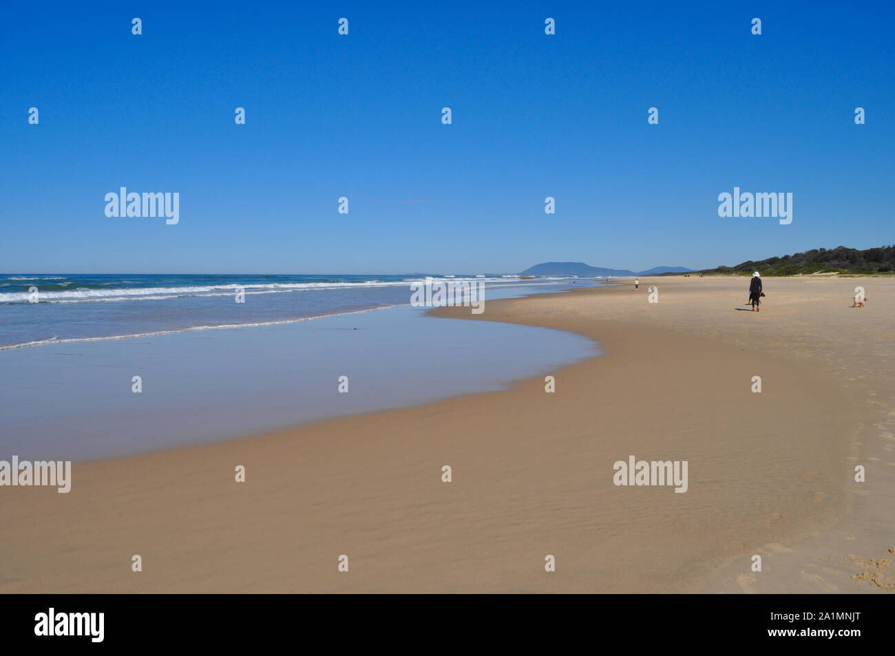 Vue côtière avec les gens et les chiens sur la plage, Port Macquarie, NSW, Australie Banque D'Images