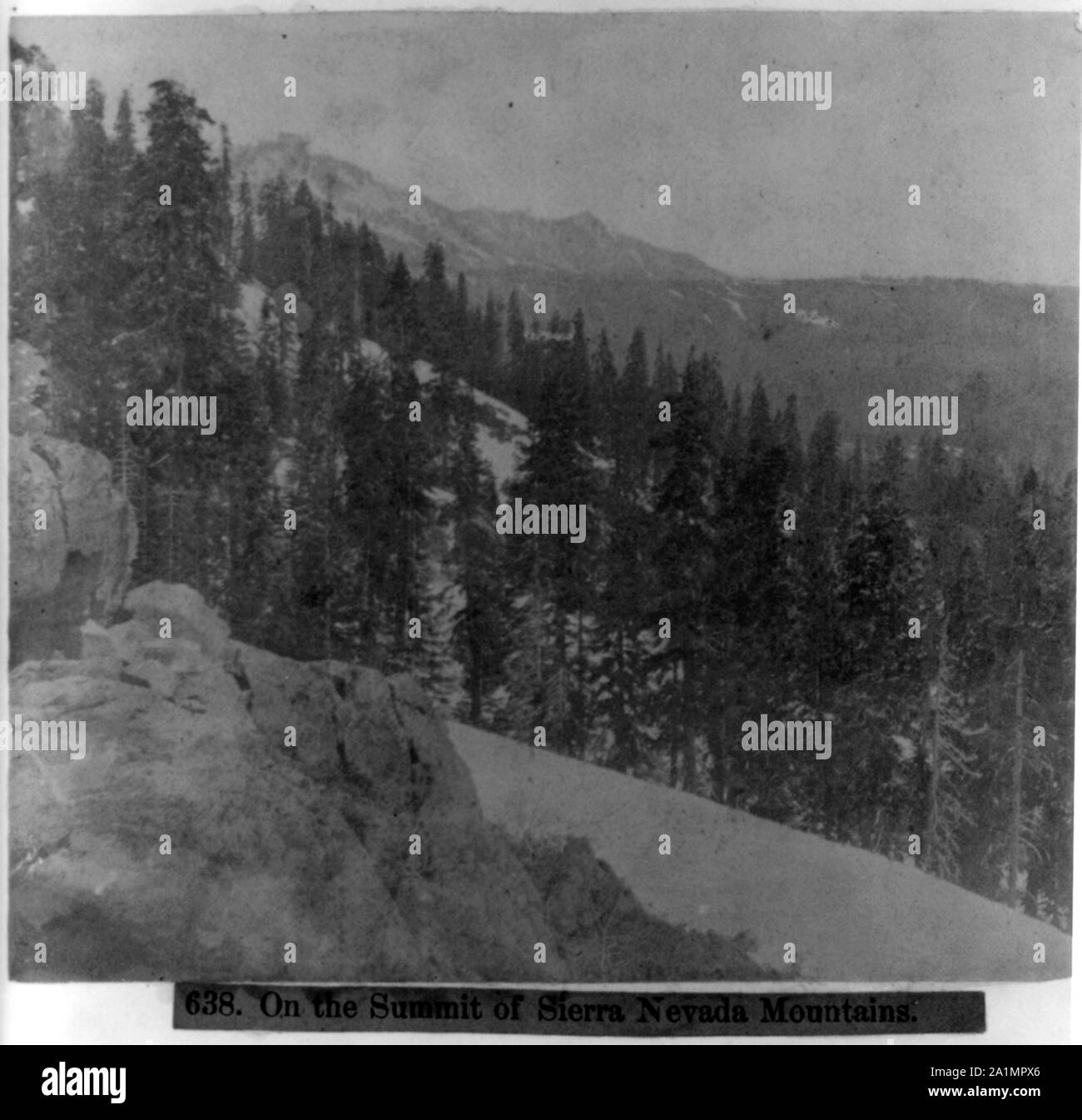 Sur le sommet de la Sierra Nevada, en Californie. Banque D'Images