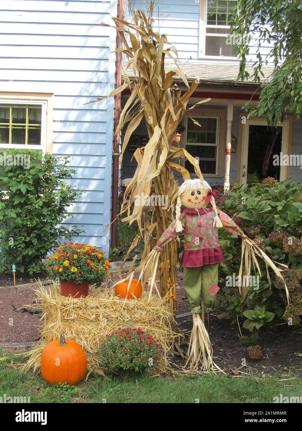 Aux États-Unis l'Halloween est le 31 octobre ; activités : trick-or-treat, costumées, la sculpture de citrouilles et regarder des films d'horreur. Banque D'Images