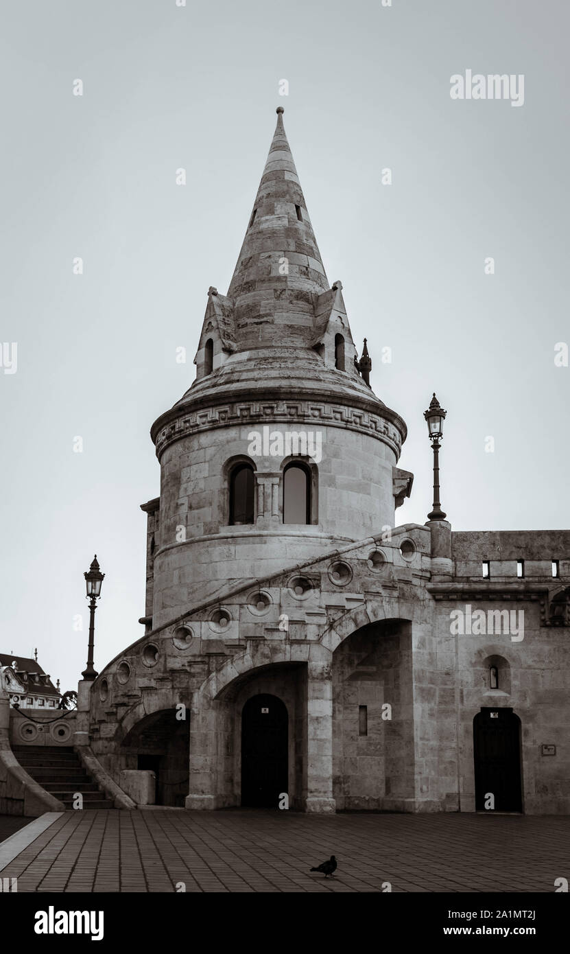 Photo en noir et blanc de la tour de Halaszbastya et un pigeon. Banque D'Images