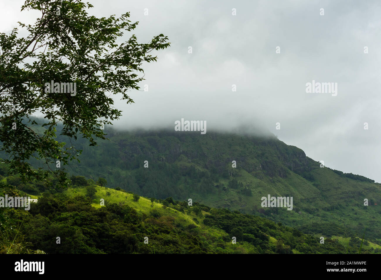 Morning Mist couvre le sommet de la montagne. Banque D'Images