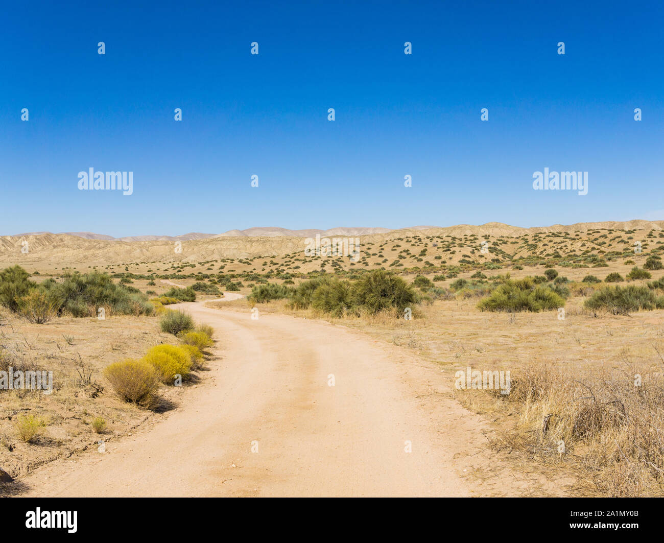 Chemin de terre mène à travers la brosse dans le sud de la Californie d'herbages près de San Luis Obispo. Banque D'Images