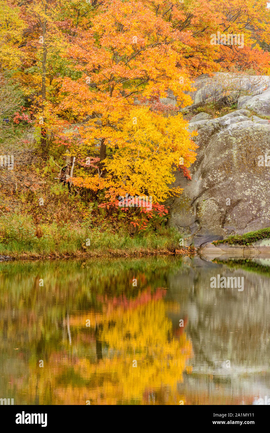 Réflexions d'automne dans la rivière Whitefish, Whitefish Falls, Ontario, Canada Banque D'Images