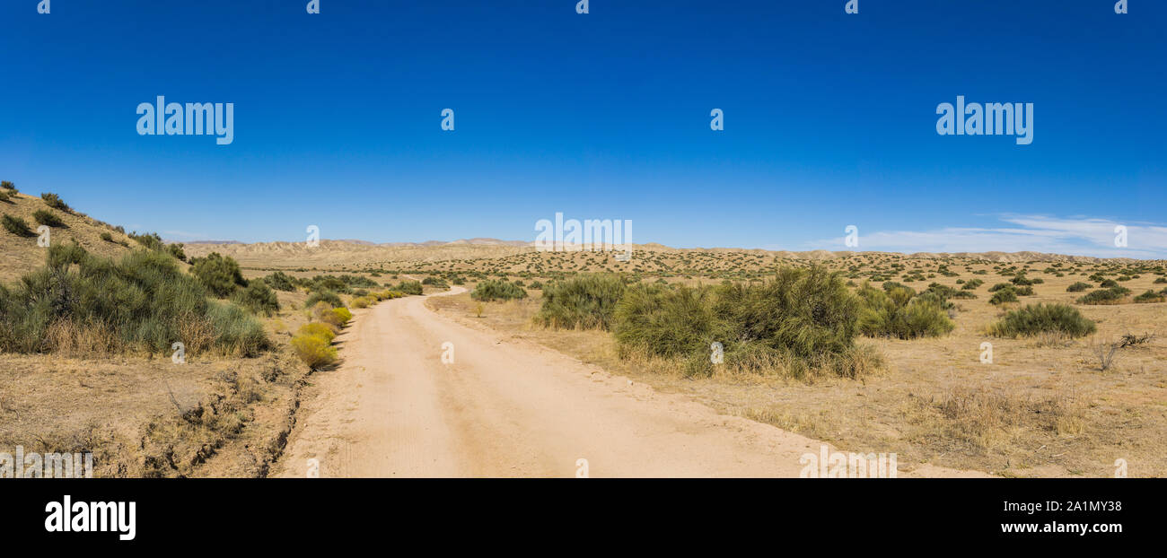 Chemin de terre sinueux à travers l'ouverture dans la grande nature sauvage de l'Ouest américain. Banque D'Images