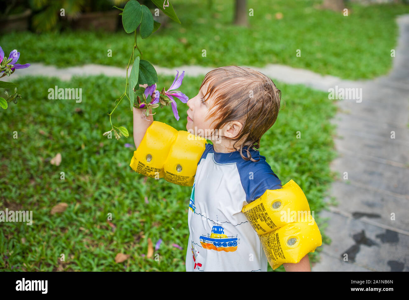 Jeune garçon tenant une tige dans le jardin tropical à l'odeur et la fleur Banque D'Images