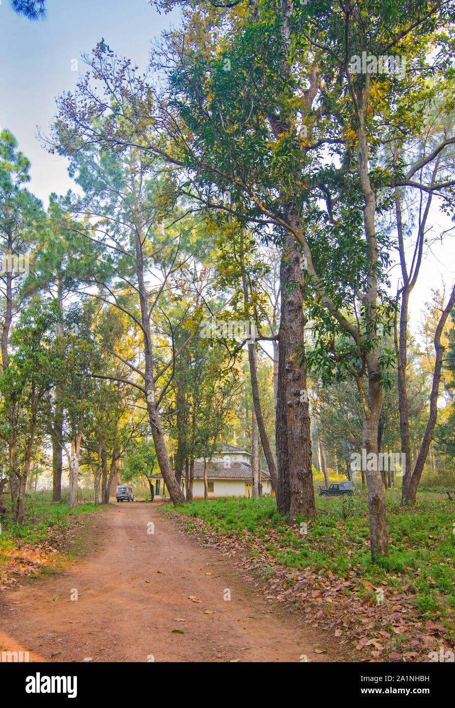 Forest bunglow dans Kanha Banque D'Images