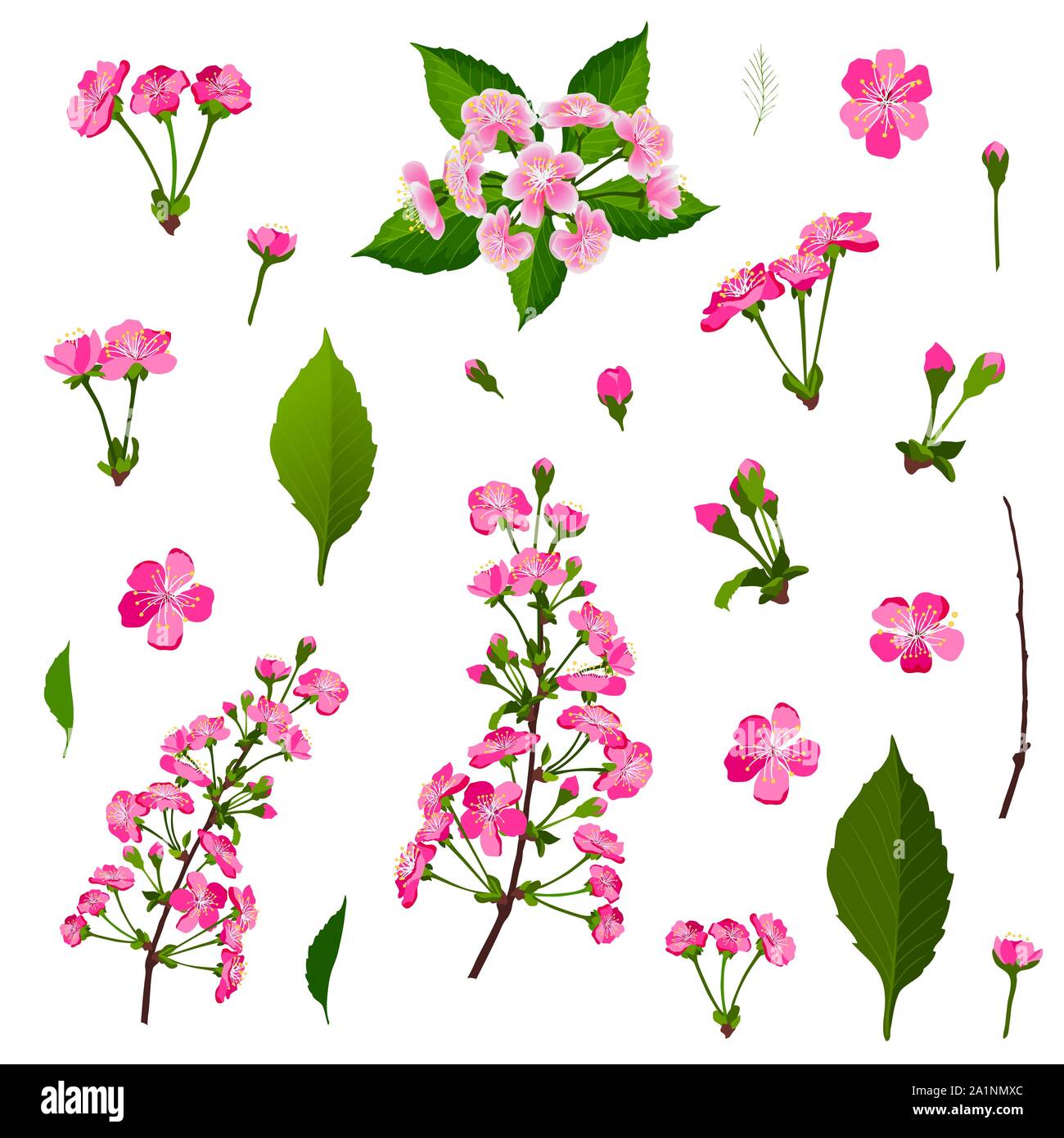 Ensemble de fleurs de cerisier rose Illustration de Vecteur