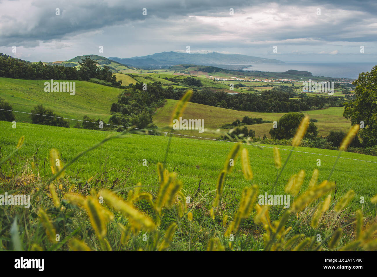 Vue sur les champs et les montagnes sur Sao Miguel, Açores, Portugal Banque D'Images