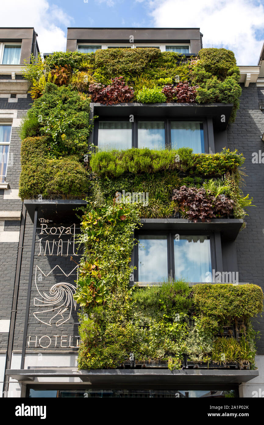Façade de maison verte à l'Hôtel Le Royal Snaill, sur l'Avenue de la plante, à Namur, Wallonie, Belgique, Banque D'Images