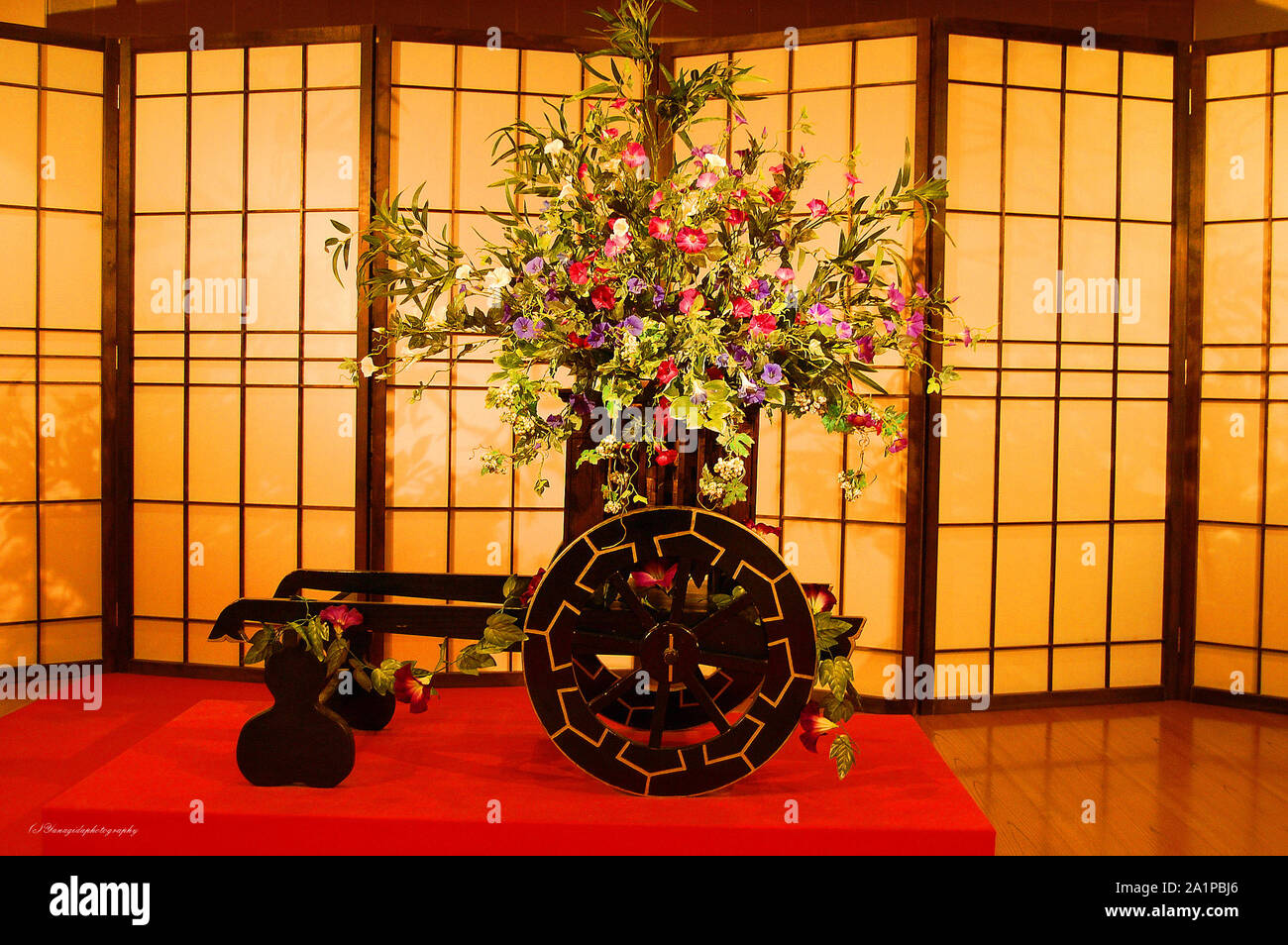 Ornement fleur japonaise de belles couleurs Banque D'Images