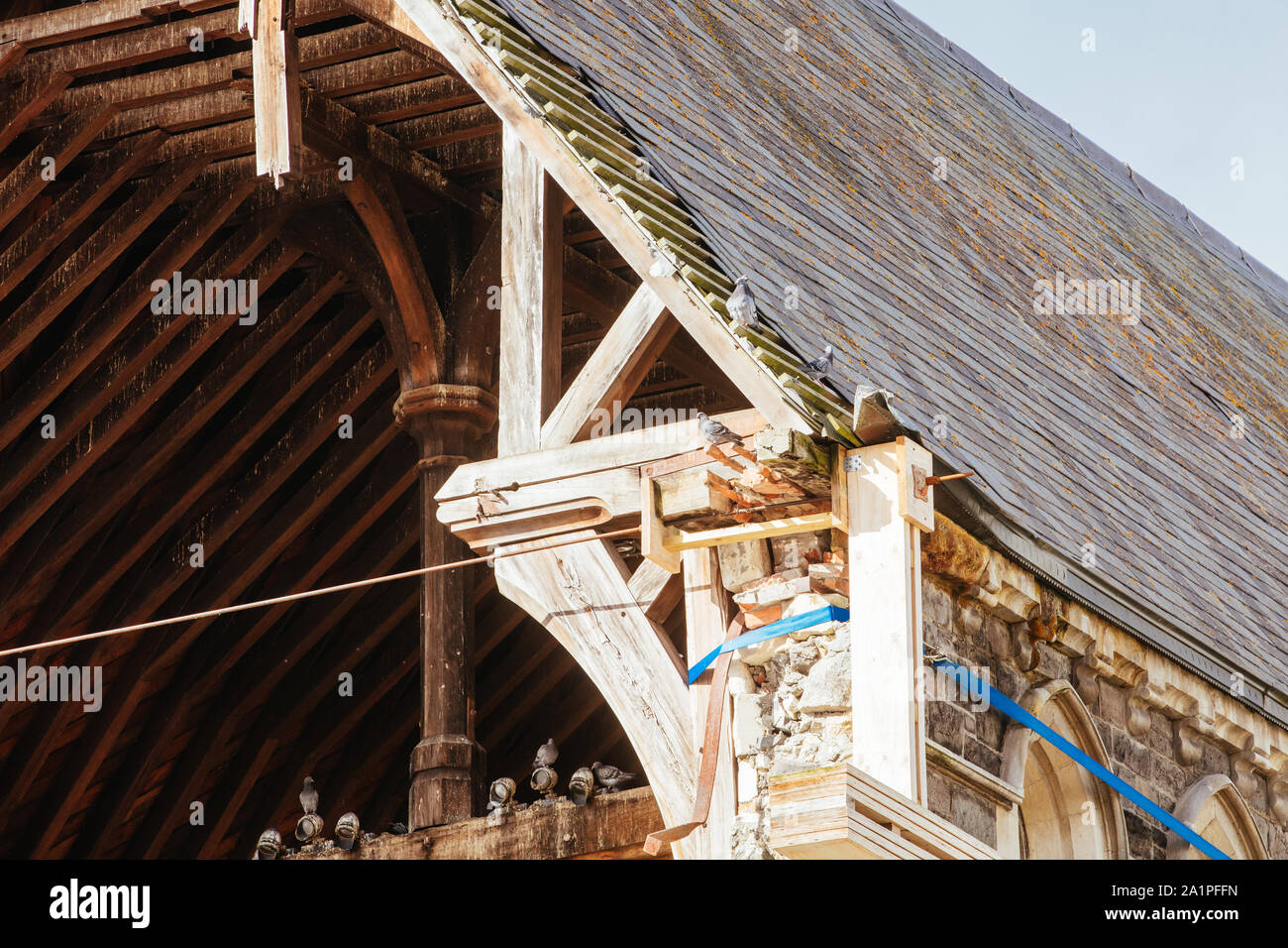 La Cathédrale de Christchurch sur une journée ensoleillée en Nouvelle Zélande Banque D'Images