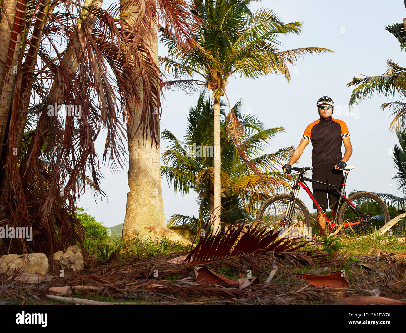S Сyclist avec un vélo de montagne, au milieu de palmiers. Banque D'Images
