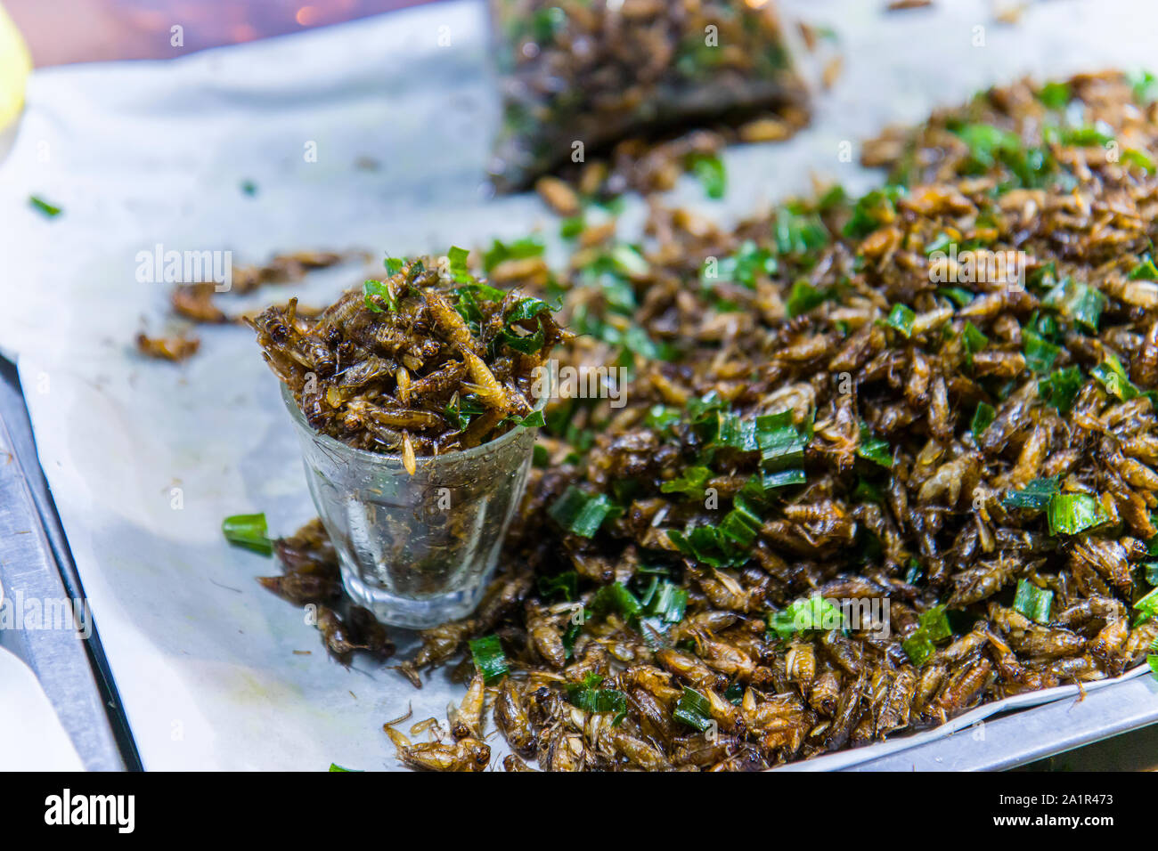 Les insectes frits dans les rues de Chiang Mai en Thaïlande, galerie d'images haute résolution. Banque D'Images