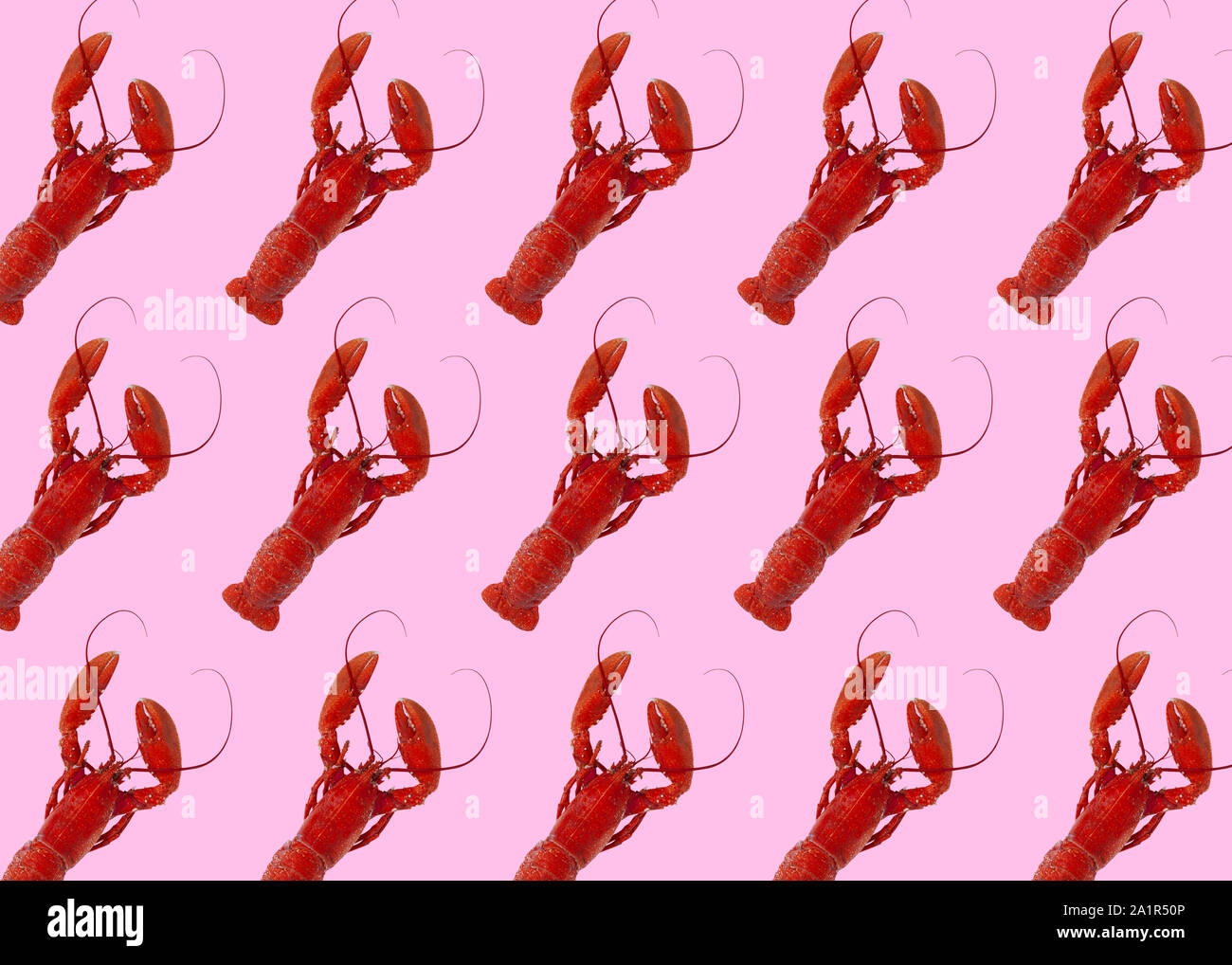 Les homards fraîchement bouillie en rouge sur fond rose. Droit Banque D'Images