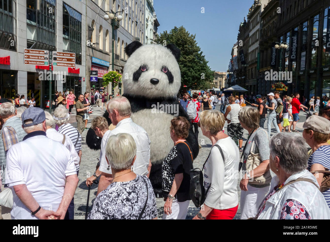 Une foule de gens le centre-ville de Prague se promènant autour de Giant Plush Panda, la place Mustek Venceslas, Prague foule République tchèque Banque D'Images