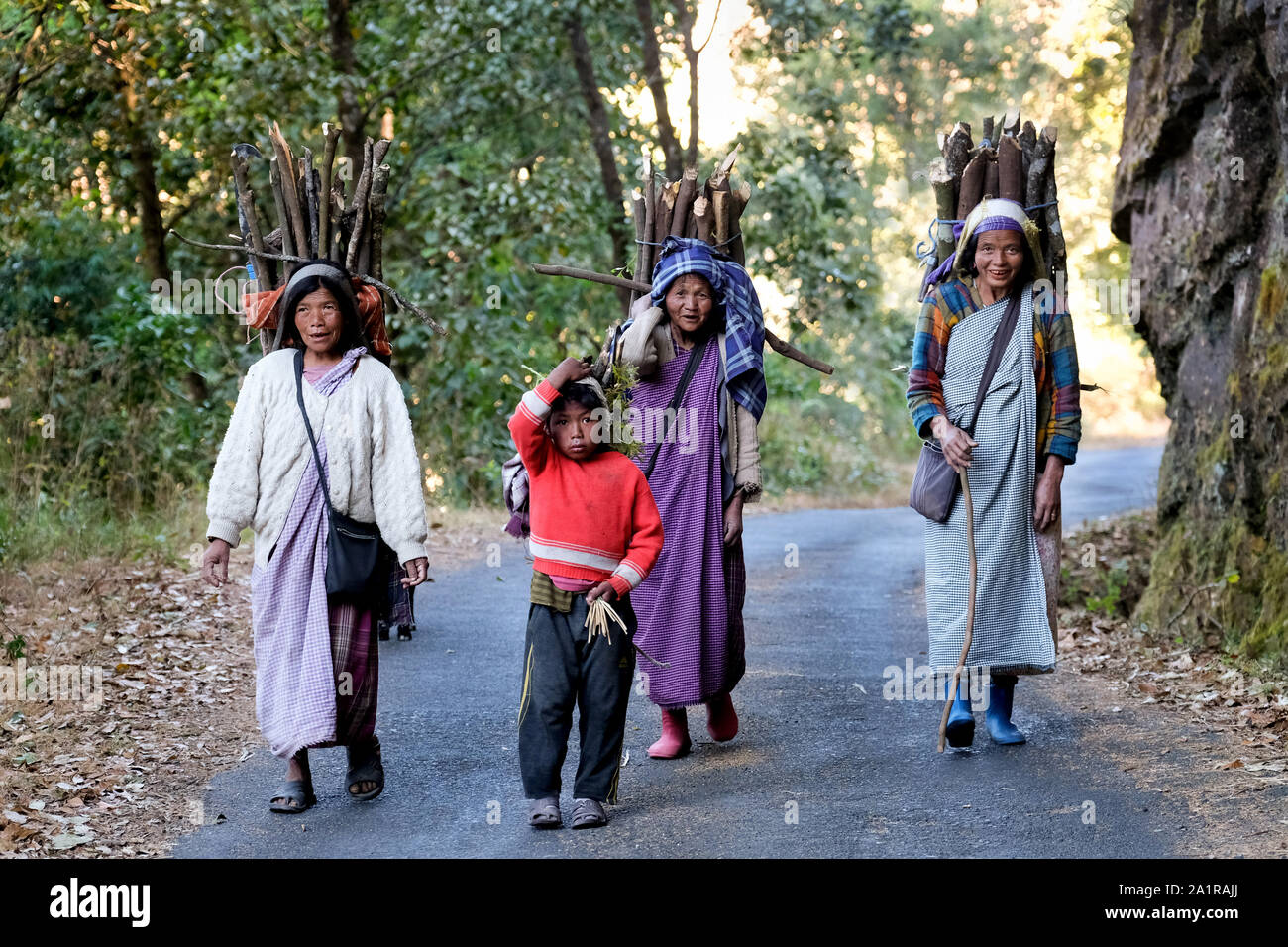 Collecteur de bois du groupe ethnique Khasi transporter le bois dans leur village dans les collines khasi, état du Meghalaya, en Inde Banque D'Images