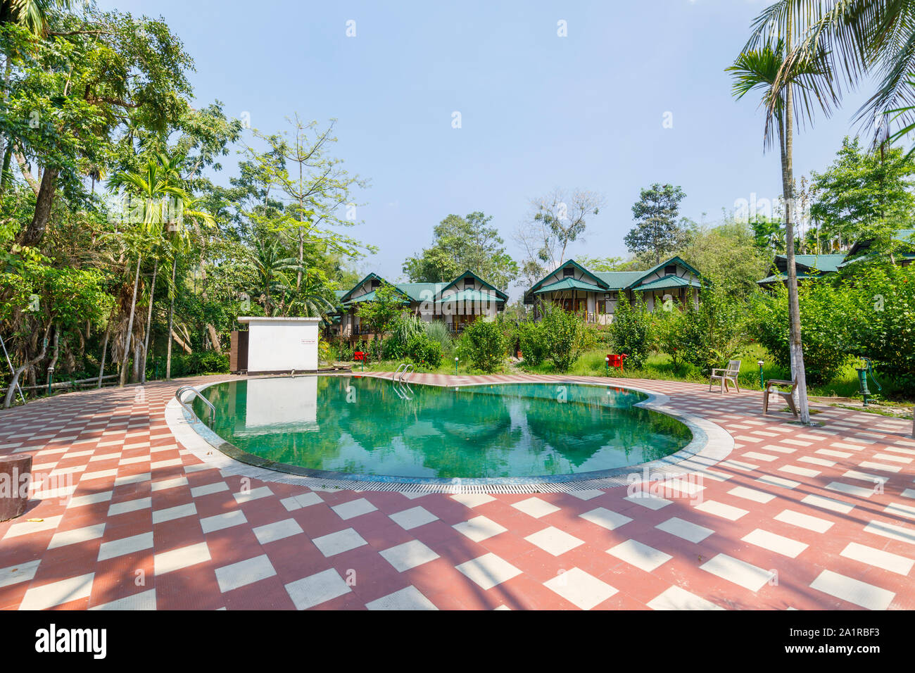Piscine extérieure bordée de palmiers dans un jardin tropical luxuriant parc de l'infini, hôtel de villégiature, Kaziranga Golaghat District, Bochagaon, Assam, Inde Banque D'Images