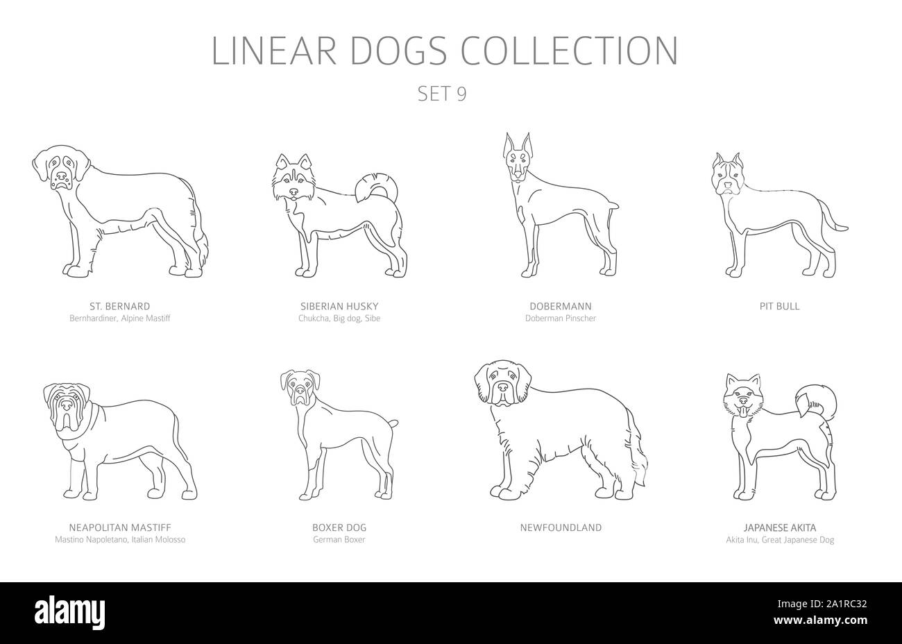 Simple ligne chiens collection isolated on white. Les races de chiens ...