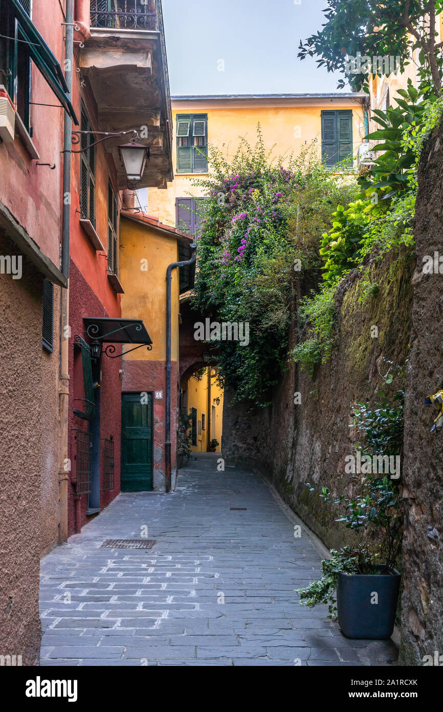 Ruelles pavées dans le village de Portofino, ligurie, italie Banque D'Images