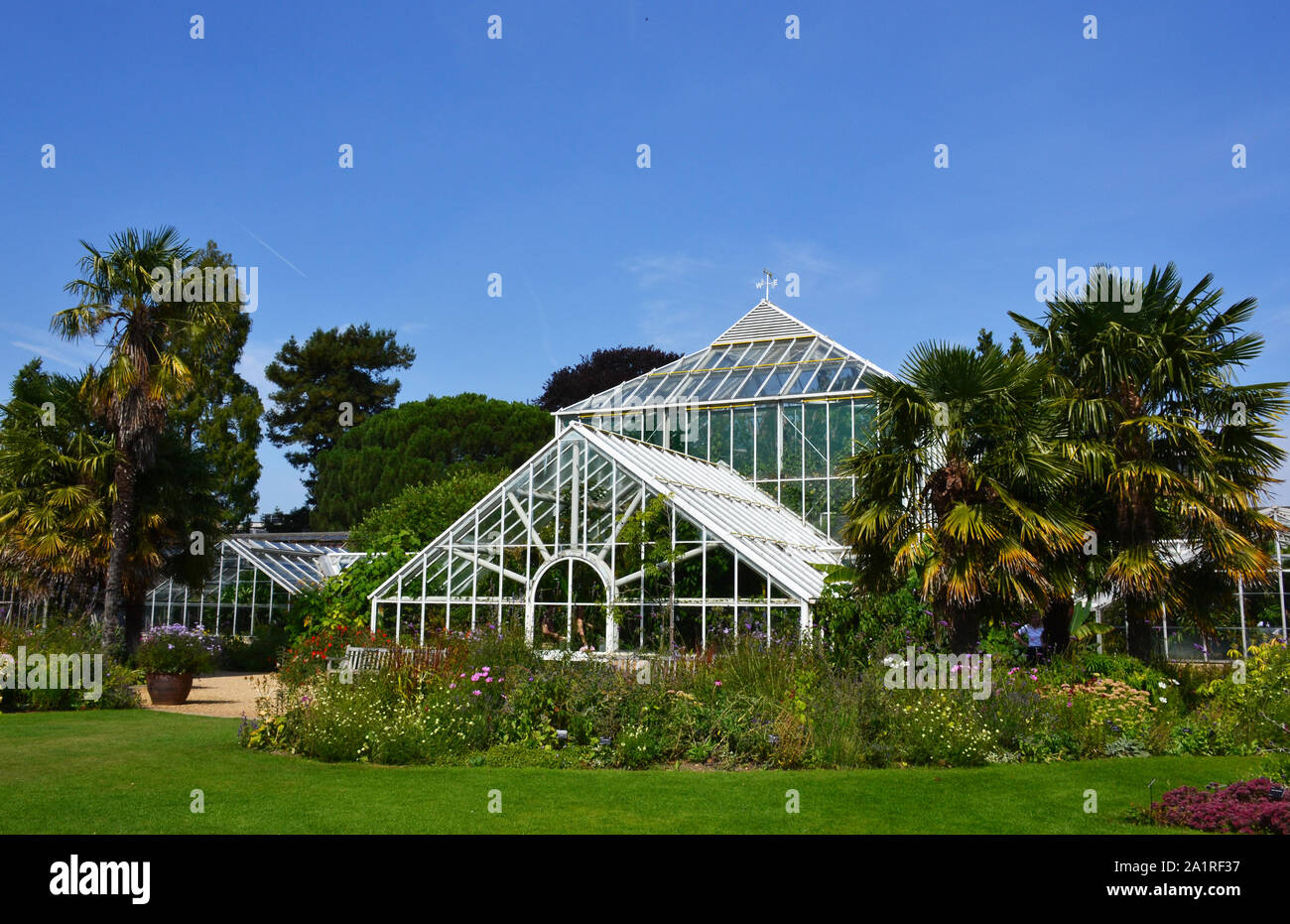 Jardin botanique de Cambridge, Royaume-Uni Banque D'Images