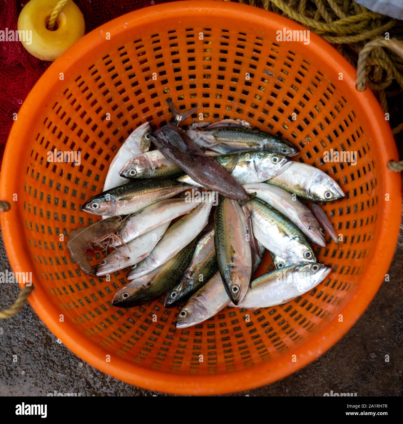 Prise du jour Banque D'Images