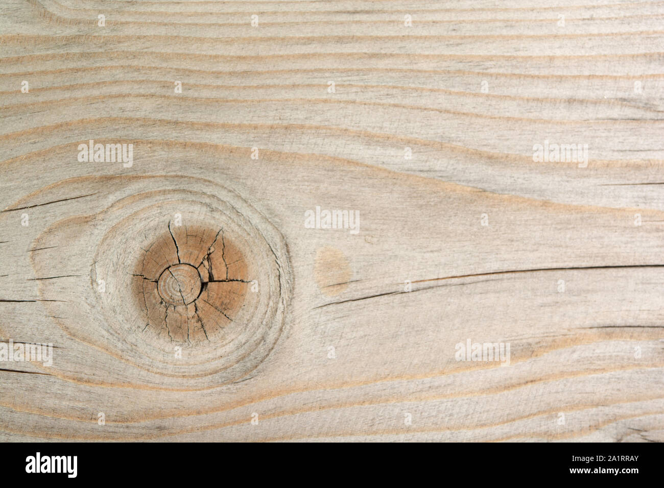 Close up gnarl planche de surface en bois texture background, avec l'exemplaire de l'espace. Banque D'Images