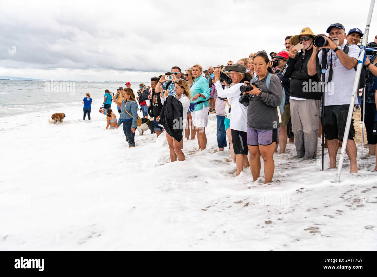 Huntington Beach, CA, USA. Septembre 28, 2019. La foule sur la main pour la compétition de chiens de surf n'a pas peur de se mouiller les pieds. Crédit : Ben Nichols/Alamy Live News Banque D'Images