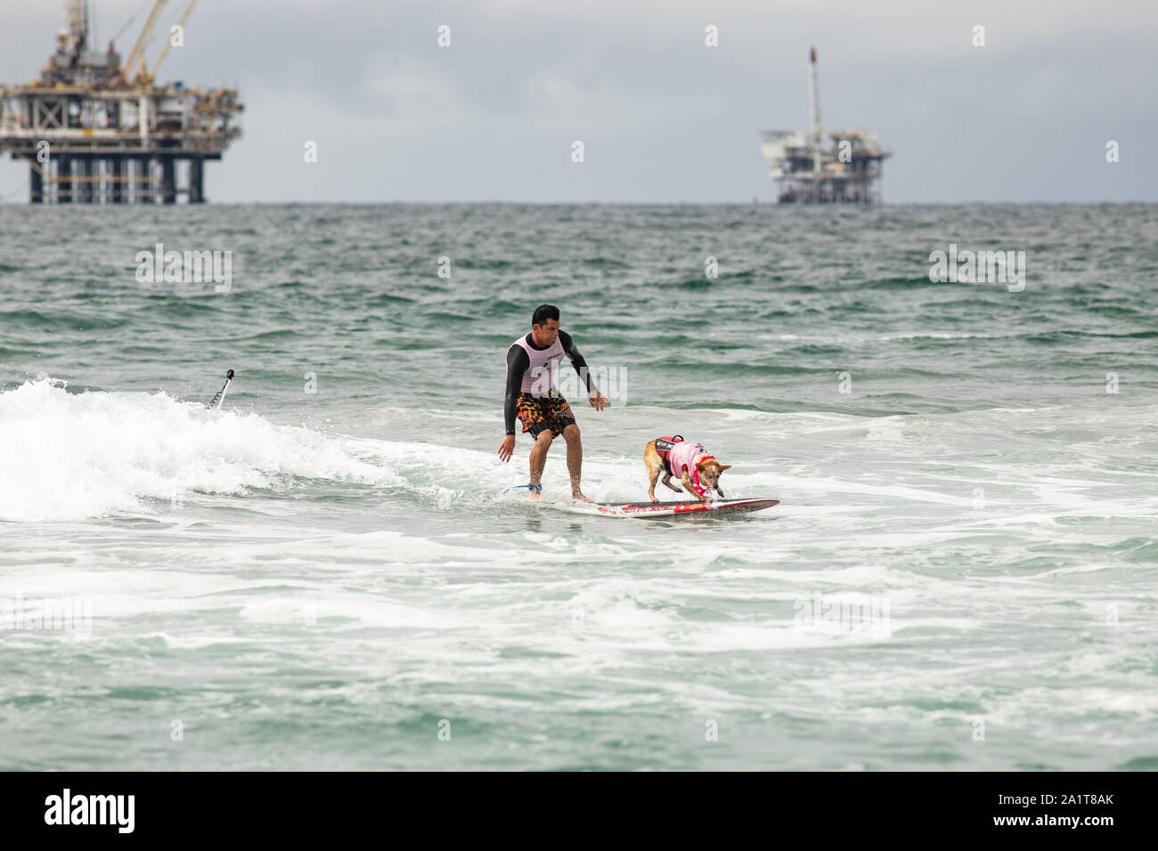 Huntington Beach, CA, USA. Septembre 28, 2019. Skyler rides avec le propriétaire d'Homère. Crédit : Ben Nichols/Alamy Live News Banque D'Images