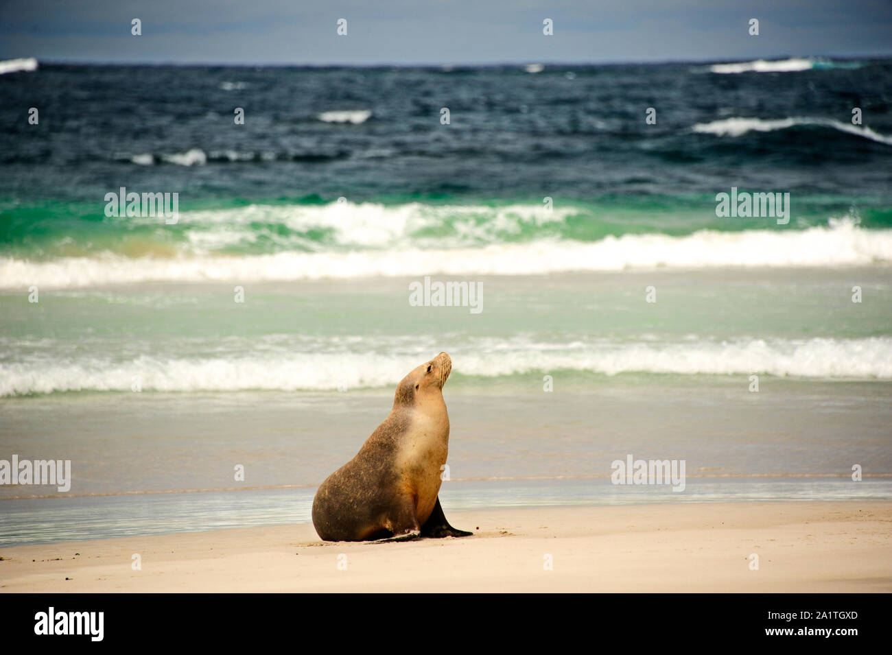 Sur la mer de l'Australie Banque D'Images