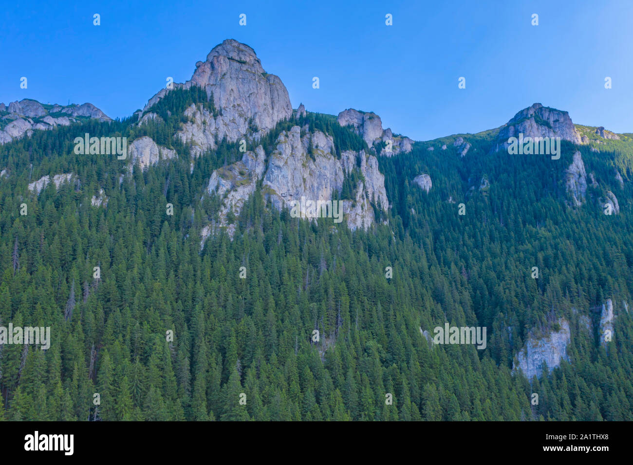 Les roches de la forêt verte d'été, scène de montagne Banque D'Images