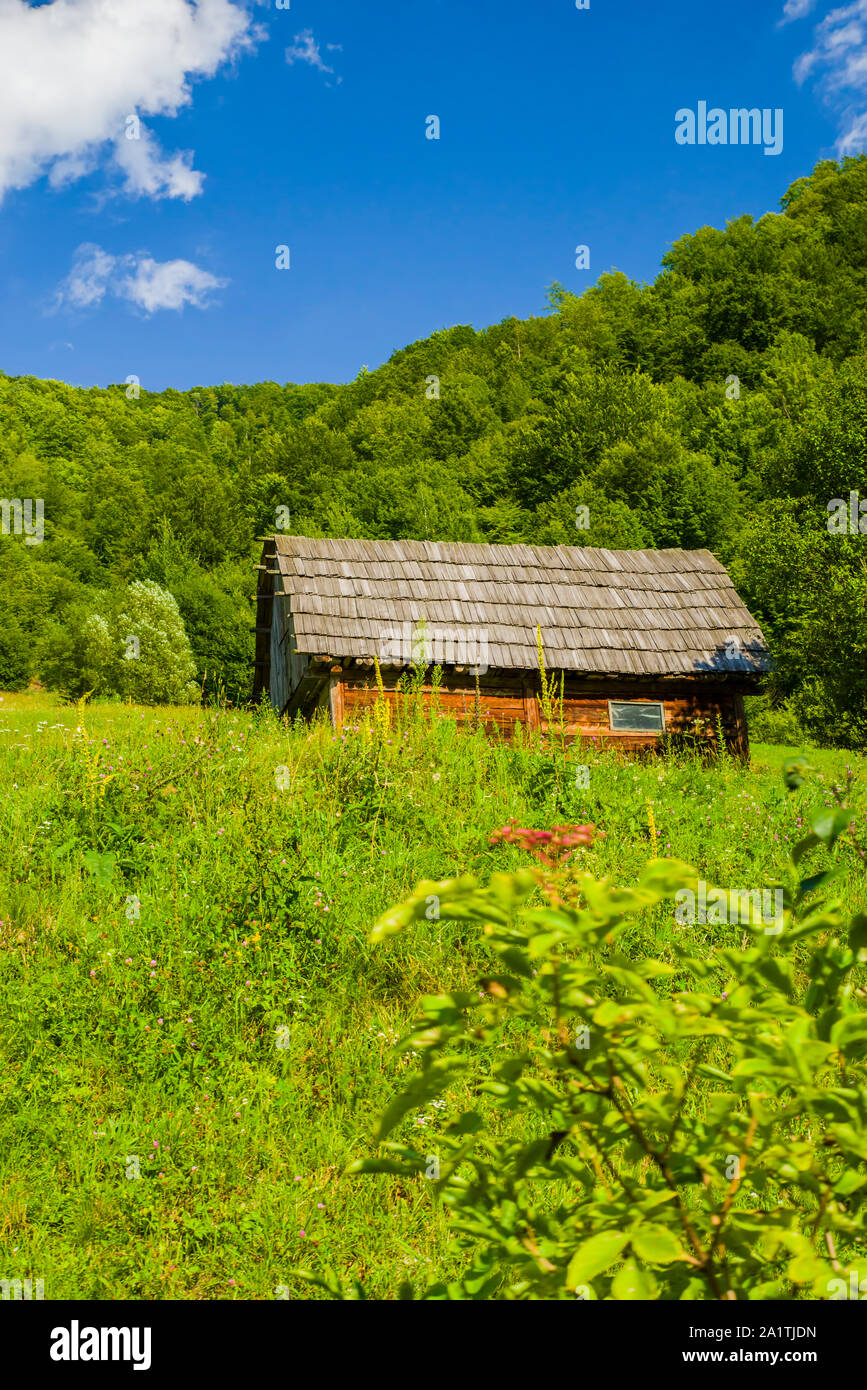 Cabane en bois sur les verts pâturages d'été, scène de montagne Banque D'Images
