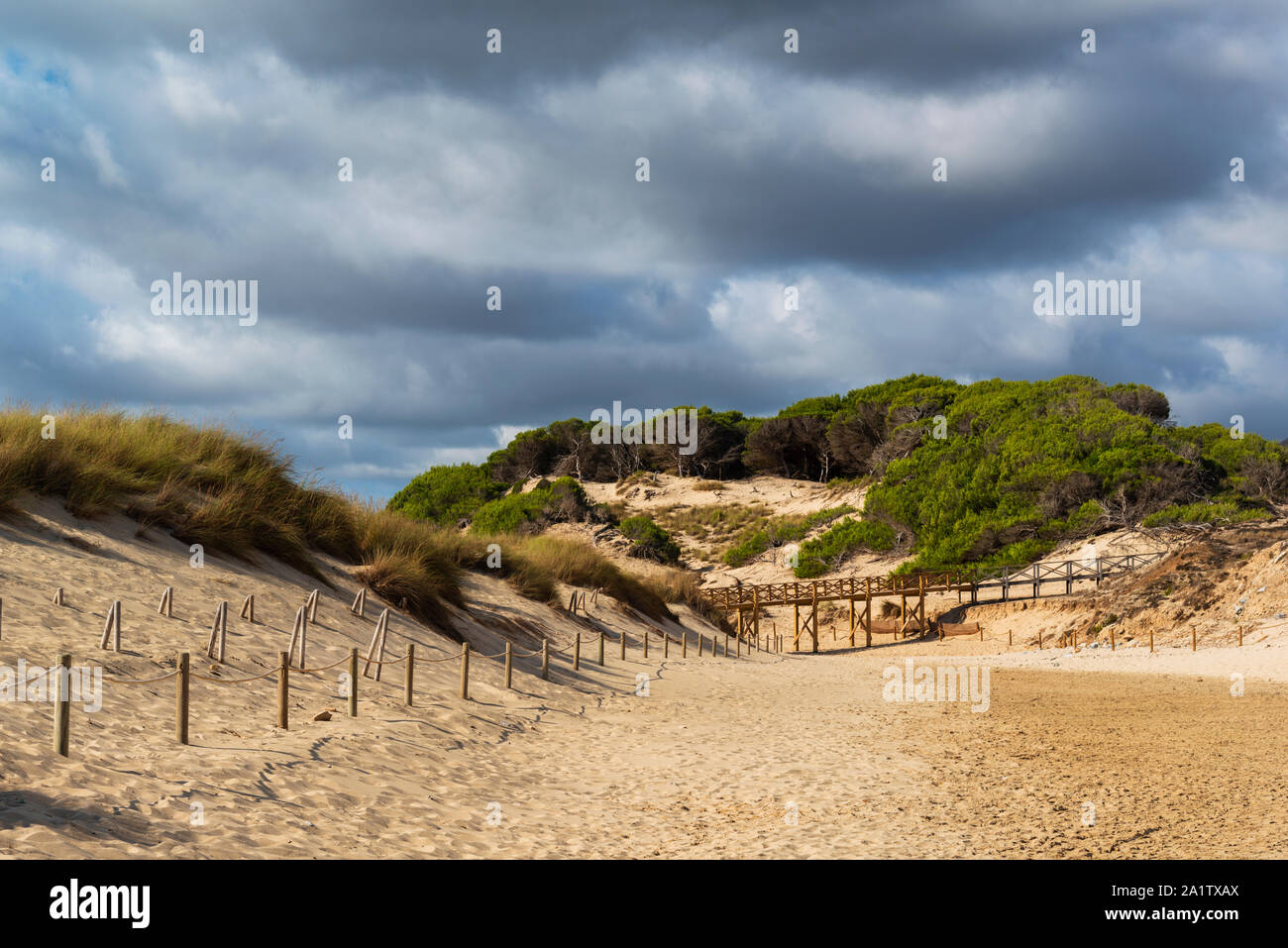 Réserve de régénération des dunes de sable sur la plage de Cala Millor Majorque Espagne, le ciel est nuageux Banque D'Images