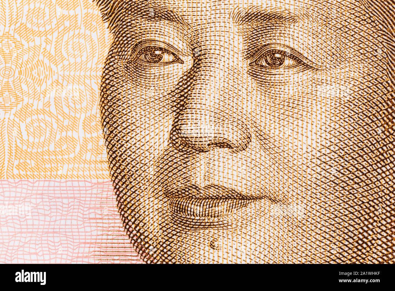 Close up macro photo de Mao sur la monnaie chinoise Yuan 20 REMARQUE. Banque D'Images