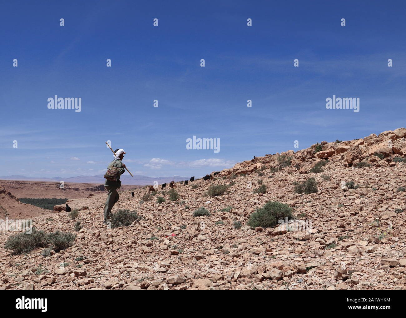 Shepherd en montée dans la vallée de m'Goun, Maroc. Banque D'Images